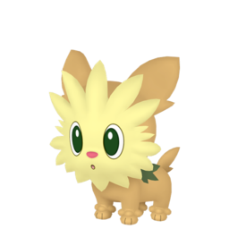 Lillipup - Home