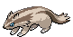 Linoone - Black 2 White 2 Black White Animated (Normal)