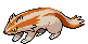 Linoone - Black 2 White 2 Black White Animated (Shiny)