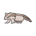 Linoone - X Y (Normal)