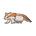 Linoone - X Y (Shiny)
