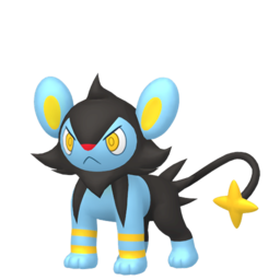 Luxio - Home