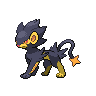 Luxray - Black White (Shiny)