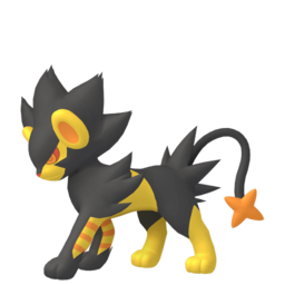 Luxray - Home