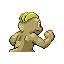 Machop - Ruby Sapphire (Back View (Shiny))