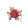 Magikarp - Black White (Back View)