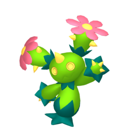 Maractus - Home