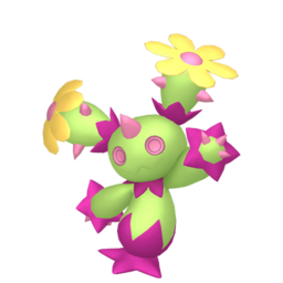 Maractus - Home
