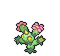 Maractus - Sword Shield