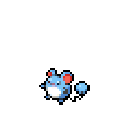 Marill - Sword Shield