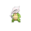 Marowak - Omega Ruby Alpha Sapphire (Shiny)