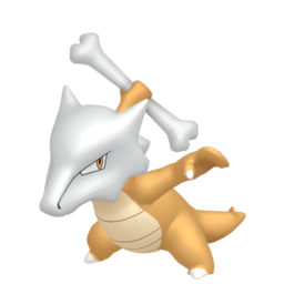 Marowak - Home