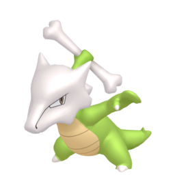 Marowak - Home