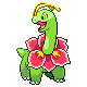 Meganium - HeartGold SoulSilver (Normal)