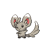 Minccino - Black White (Normal)