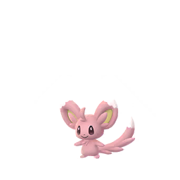 Minccino - GO (Shiny)