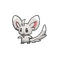 Minccino - X Y (Normal)