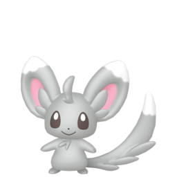 Minccino - Home