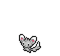 Minccino - Sword Shield