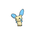 Minun - X Y (Normal)