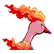 Moltres - HeartGold SoulSilver (Back View (Shiny))
