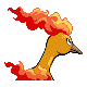 Moltres - HeartGold SoulSilver (Back View)