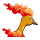 Moltres - Platinum (Back View)