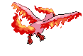 Moltres - Black 2 White 2 Black White Animated (Back View (Shiny))