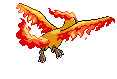 Moltres - Black 2 White 2 Black White Animated (Back View)