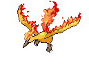 Moltres - Black 2 White 2 Black White Animated (Normal)