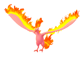Moltres - GO (Shiny)