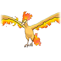 Moltres - Omega Ruby Alpha Sapphire (Normal)