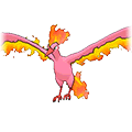 Moltres - Omega Ruby Alpha Sapphire (Shiny)