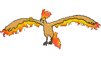 Moltres - X Y (Normal)