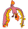 Moltres - X Y (Shiny)