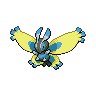 Mothim - Black White (Shiny)