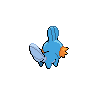 Mudkip - Black White (Back View)
