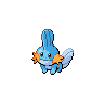 Mudkip - Black White (Normal)
