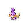 Mudkip - Black White (Shiny)