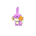 Mudkip - Omega Ruby Alpha Sapphire (Shiny)