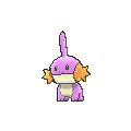 Mudkip - X Y (Shiny)