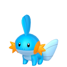 Mudkip - Home