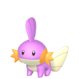Mudkip - Home