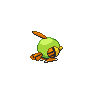 Natu - Black White (Back View (Shiny))