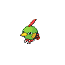 Natu - Black White (Normal)