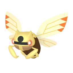 Ninjask - Home