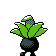 Oddish - Crystal (Back View)