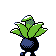 Oddish - Gold (Back View)