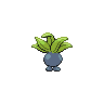 Oddish - Black White (Back View)
