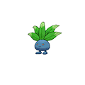 Oddish - Omega Ruby Alpha Sapphire (Normal)